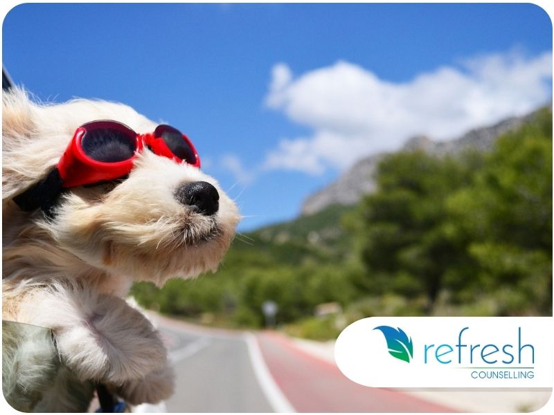 There's still time to Roadtrip!  How to make them tolerable.